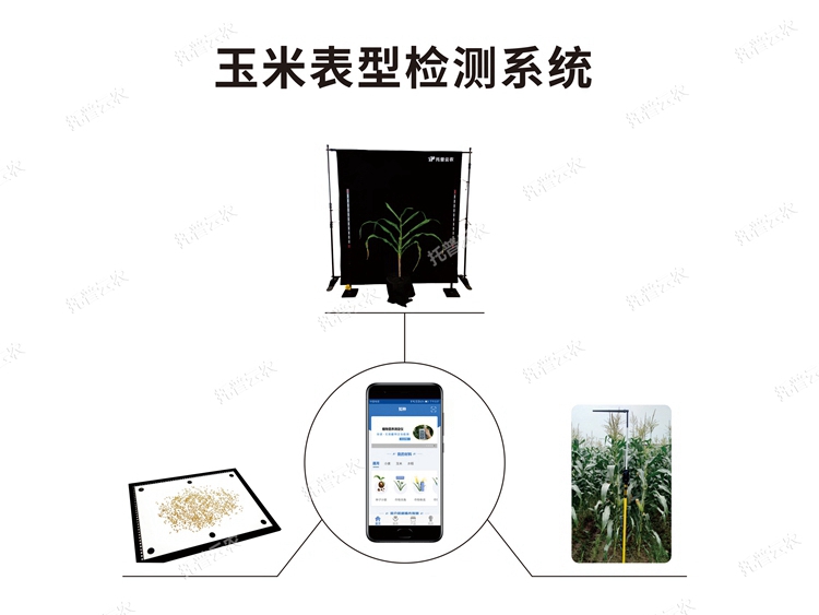 玉米表型檢測(cè)系統(tǒng)