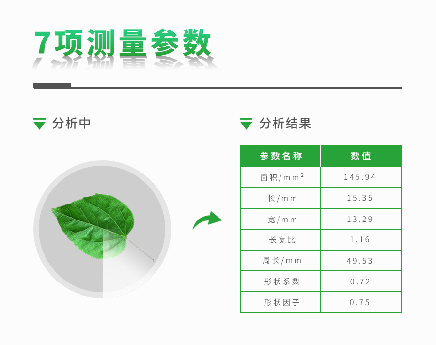 活體葉面積測定儀