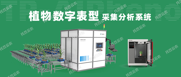 植物數(shù)字表型采集分析系統(tǒng) ——高通量、高精度，植物表型測量理想之選！